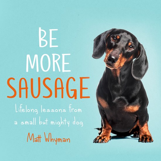 Be More Sausage - cover