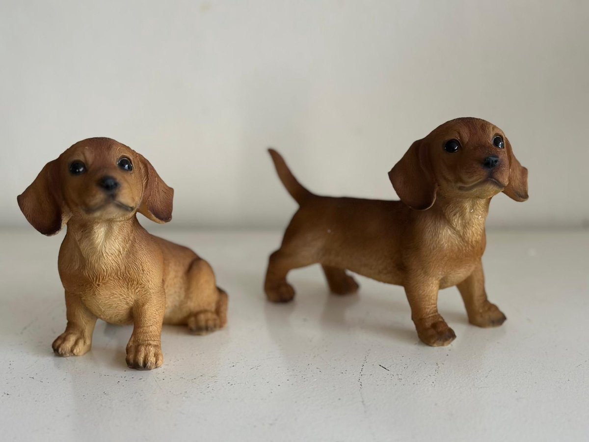 Goodyz- Huisdieren - Honden - Teckel - Teckels - Set - Zittend en Staand - Bruin - Super leuk
