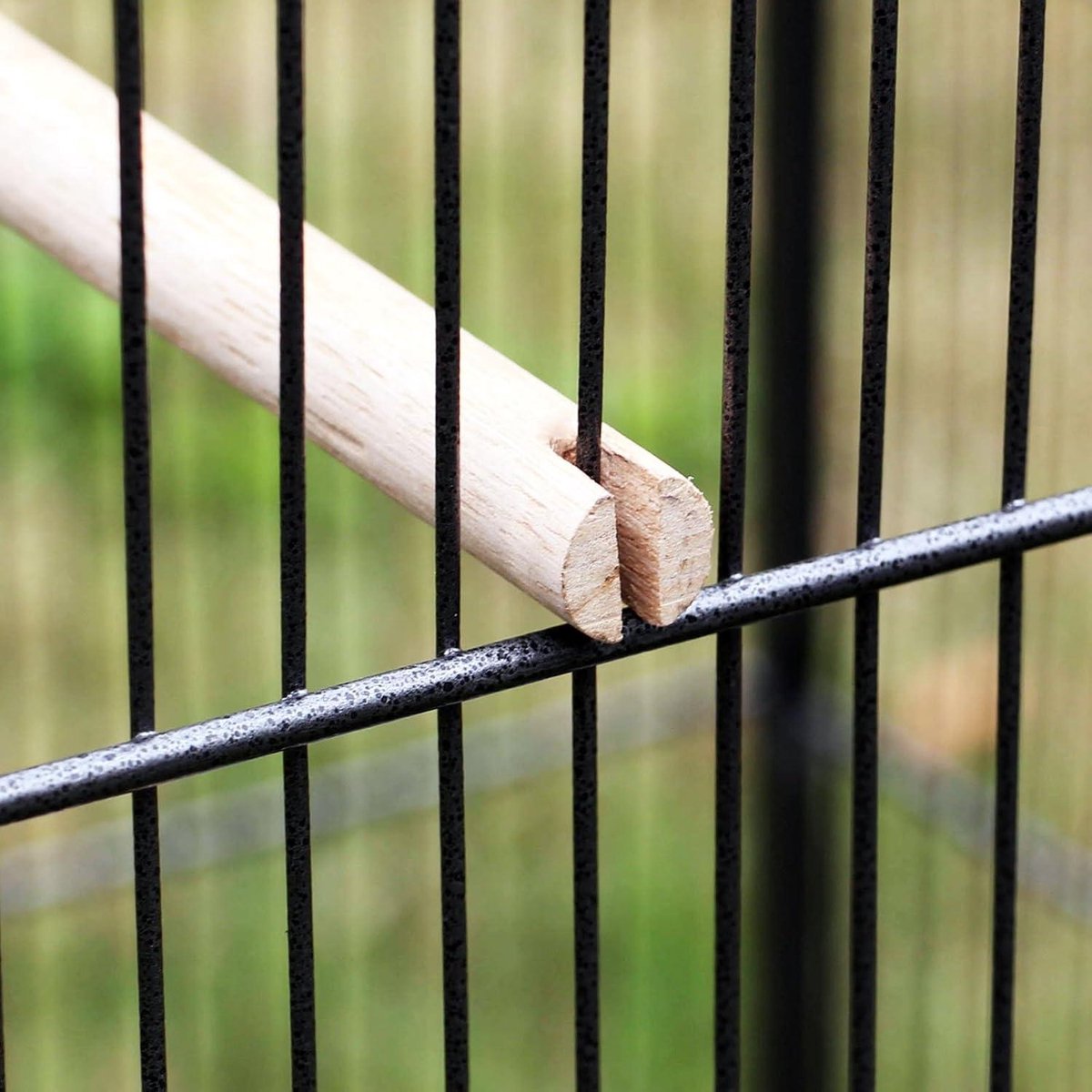Volière S1 - Vogelkooi - Vogel - Vogel voor vogels - Volière voor