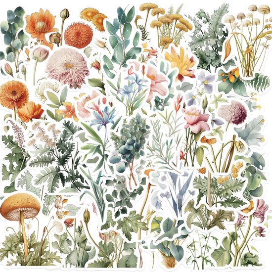 Ensemble d'autocollants Plantes et Fleurs - 50 pièces - Autocollants Bullet Journal - Autocollants Agenda - Autocollants Scrapbook - Autocollants Ordinateur Portable - Autocollants Téléphone - Autocollants Bujo - Autocollants Hobby