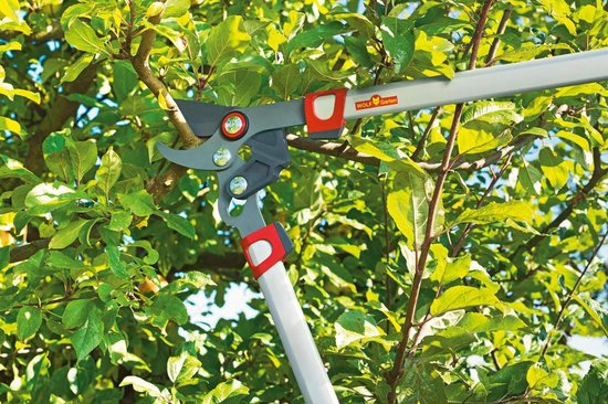 WOLF-Garten Takkenschaar POWER CUT** RR 750 - lengte 750mm - aluminium hefboomarmen - 3x meer kracht - messpanning instelbaar van WOLF-Garten — afbeelding 5