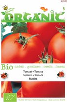 Buzzy® Organic - Tomaat Matina (biologisch)