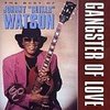 Gangster Of Love: The Best Of Johnny "Guitar" Watson