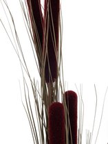 Europalms kunstplant gras Reed grass cattails, dark-brown,  152cm