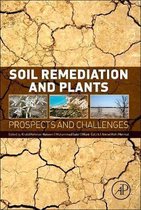 Soil Remediation & Plants