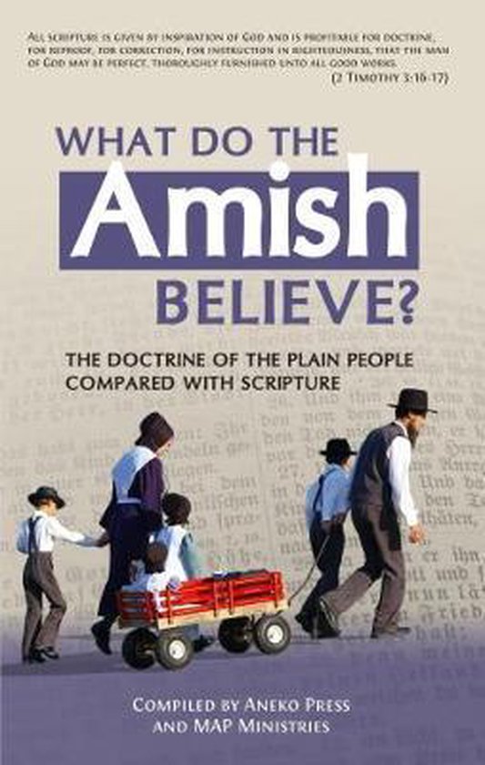 What Do the Amish Believe? 9781622454044 Aneko Press Boeken