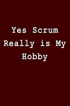 Yes Scrum Really is My Hobby