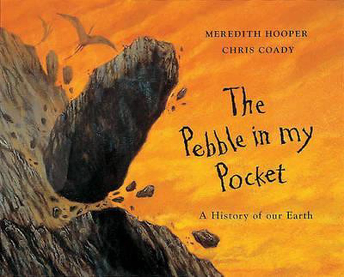 The Pebble in my Pocket, Meredith Hooper 9780711210769 Boeken The Pebble in my Pocket, Meredith Hooper 9780711210769 Boeken