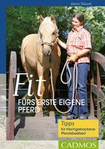 Ausbildung von Pferd & Reiter - Fit fürs erste eigene Pferd