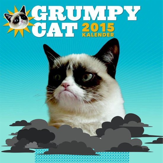 Grumpy cat kalender 2015  bol.com