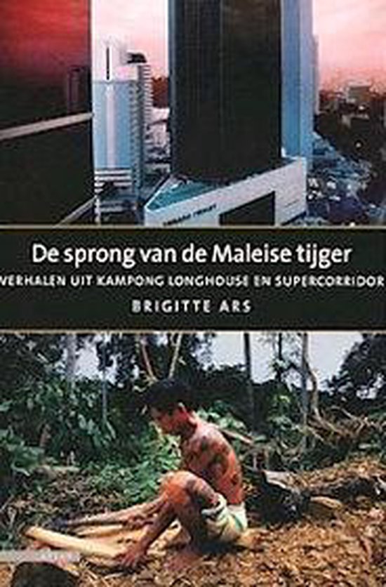 Cover van het boek 'De sprong van de Maleise tijger'