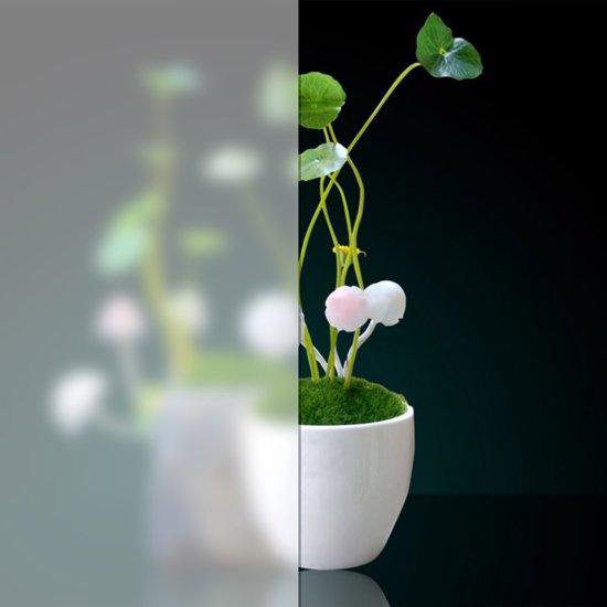 Cabine de douche Sanifun Alberta 800 x 800 Z verre dépoli