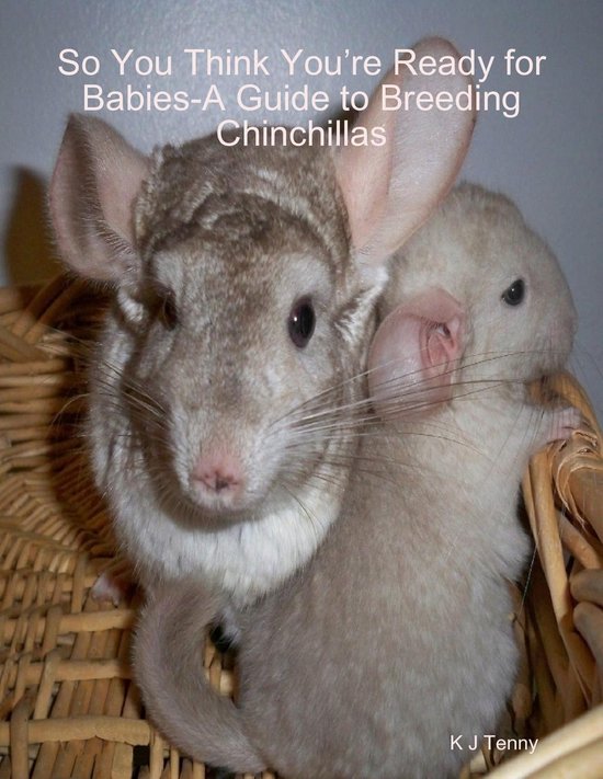 So You Think You'Re Ready for Babies - a Guide to Breeding C ... - cover
