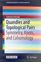 SpringerBriefs in Mathematics - Quandles and Topological Pairs