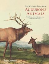 Audubon's Animals