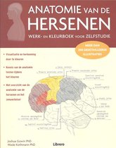 anatomie van de hersenen