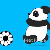 petit panda 1 - Petit Panda