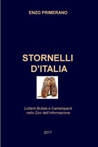 STORNELLI D’ITALIA