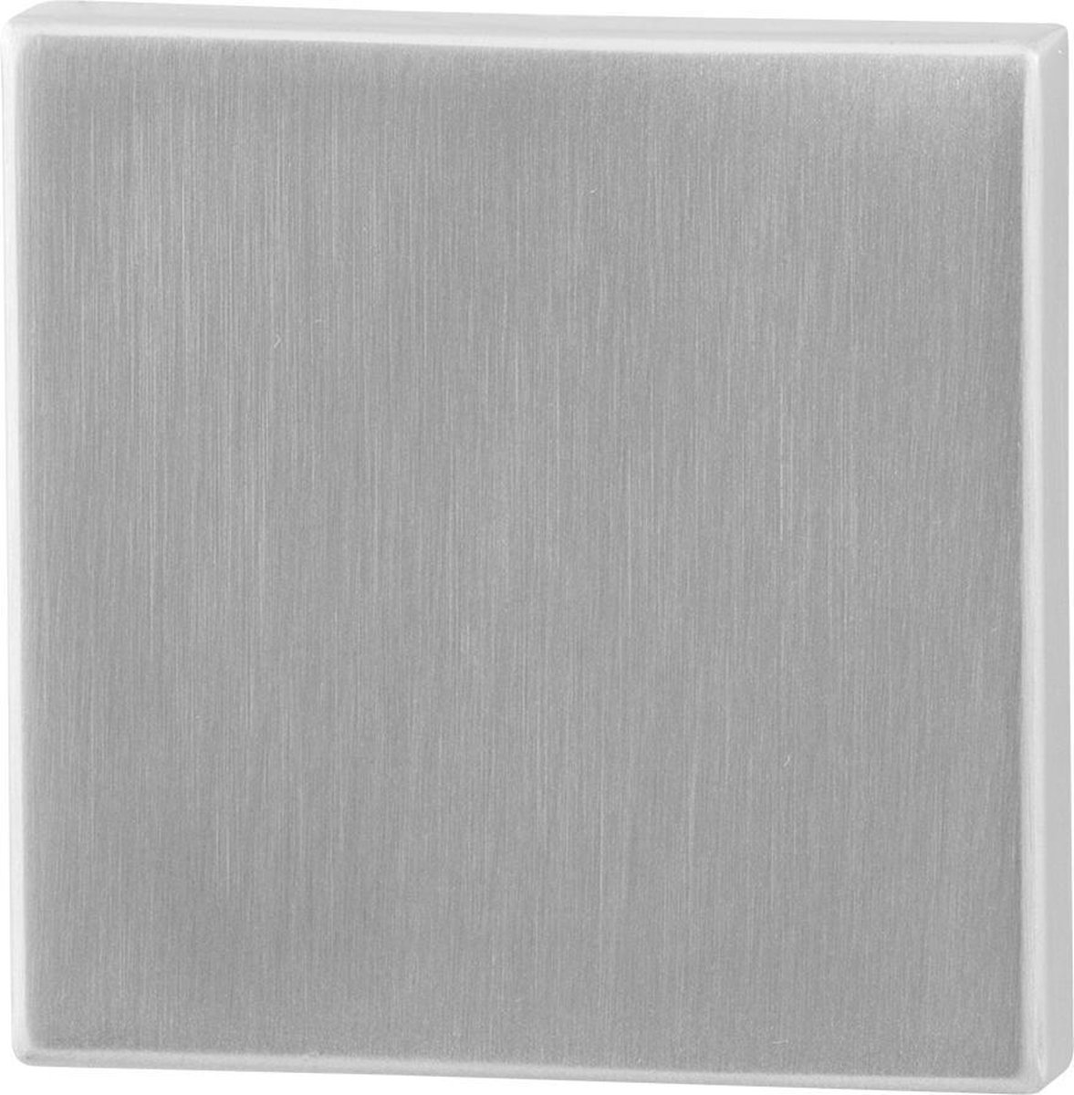 Blinde rozet - RVS geborsteld - RVS - GPF - Binnendeur -