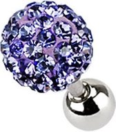 Multi Kristal Ball Paars Helix/Tragus Piercing - 5 mm ©LMPiercings