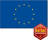 Vlag Europese Unie 100 x 150 cm