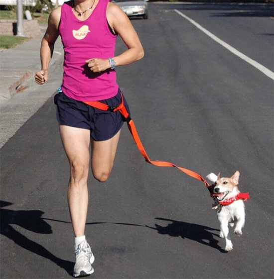 Of Competitief Continentaal DW4Trading® Honden jogging heup riem met lijn zwart | bol.com