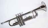 Cherrystone Trompet Zilver