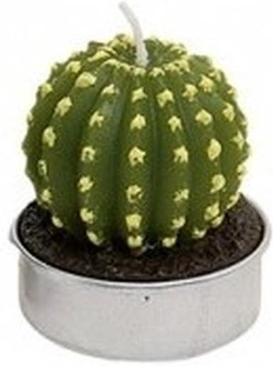 Cactus waxinelichtje 5 cm type 4