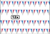 12x Vlaggenlijn Frankrijk 10 meter - Landen vlaglijn thema feest festival party thema