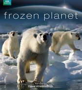 BBC Earth - Frozen Planet 3 (DVD)