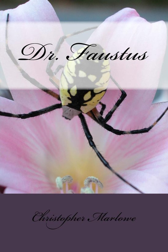 Een zwarte en gele spin, met "Dr. Faustus" erop, boven op een roze bloem.