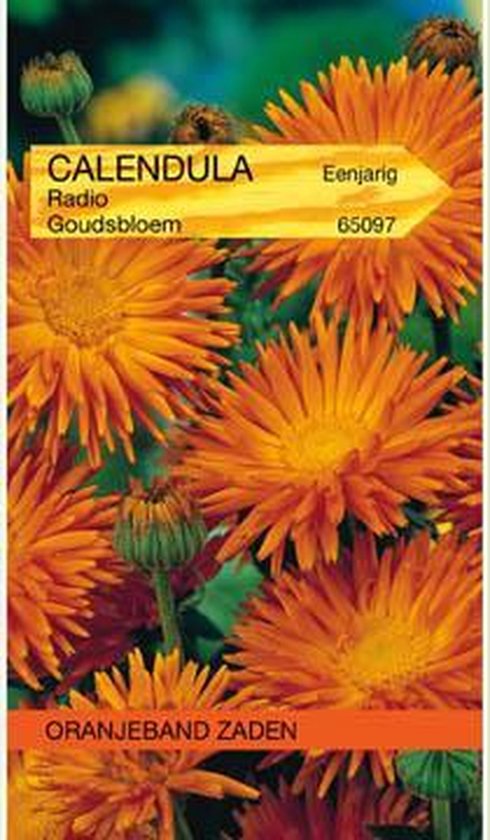 Oranjebandzaden -  Calendula, Goudsbloem Radio