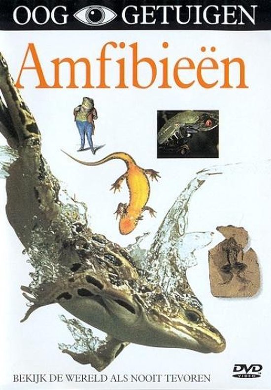 Cover van de film 'Ooggetuigen - Amfibieen'