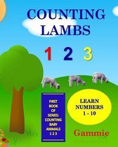 Counting Lambs 1 2 3