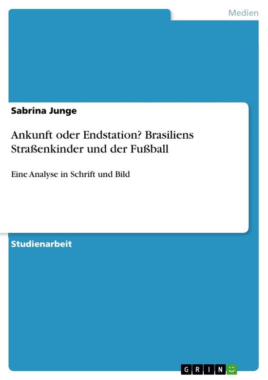 Ankunft oder Endstation? Brasiliens Straßenkinder und der F ... - cover