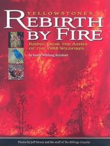 Yellowstone's Rebirth by Fire