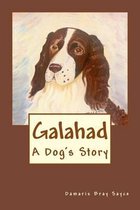 Galahad