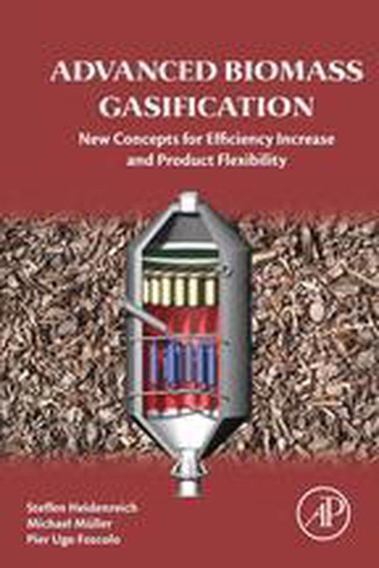 Advanced Biomass Gasification - cover