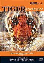 Tigers: Spy In The Jungle