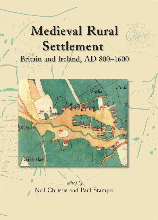 Medieval Rural Settlement - cover