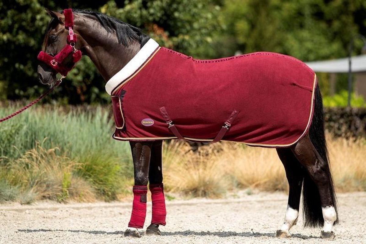 HB Polar 400 Dutch Crown Showdeken | bol