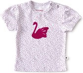 Little Label - baby meisjes shirt korte mouw - pink dots - maat: 68 - bio-katoen
