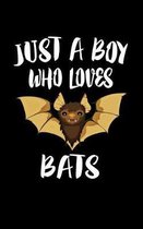 Just A Boy Who Loves Bats
