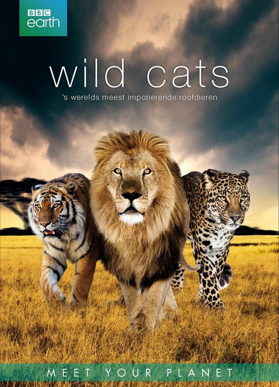 Bbc Earth; Wild Cats Box