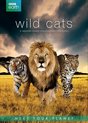 Bbc Earth; Wild Cats Box