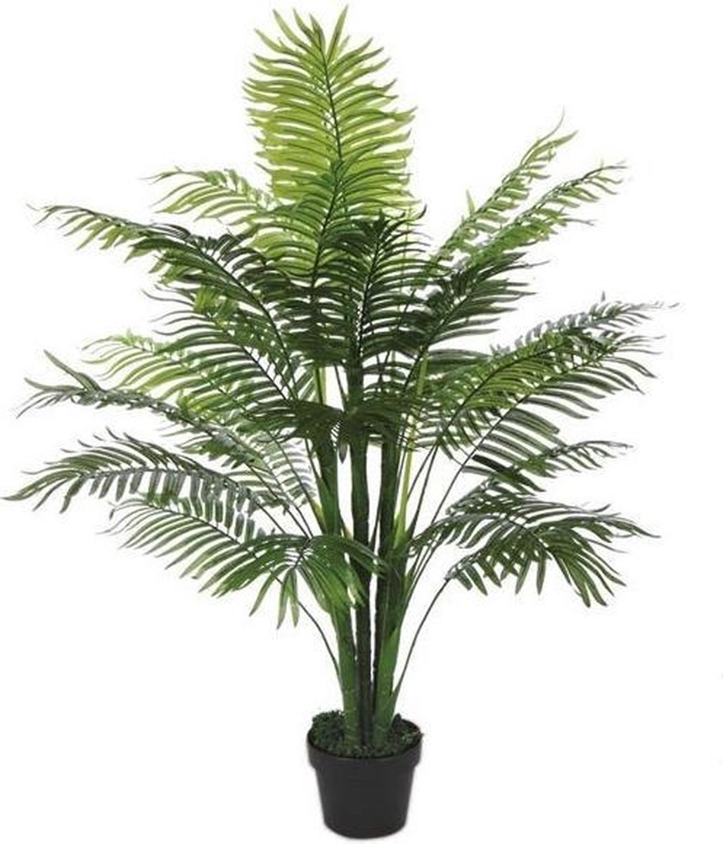 Goudpalm 130 cm