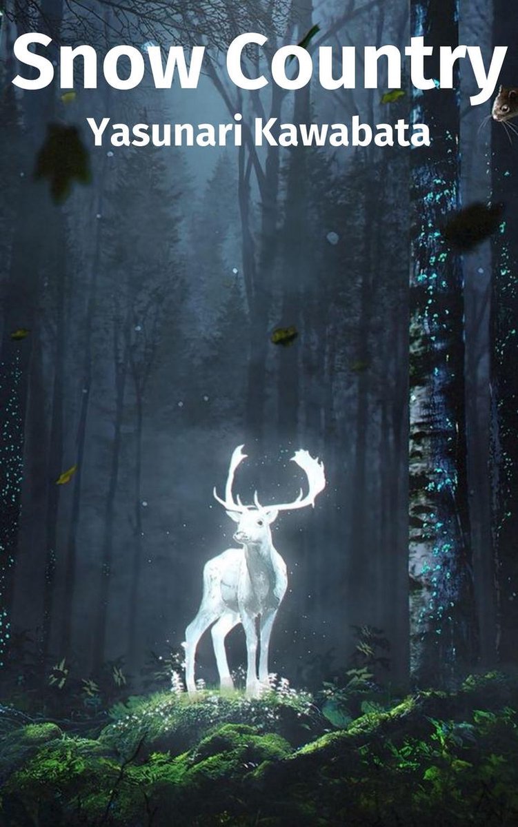 Omslag van Snow Country