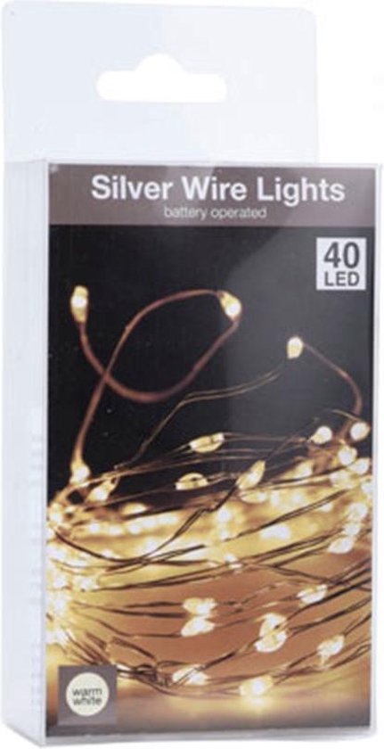 Lichtsnoer van Zilverkleurig Draad – 40 LED Lampjes – Lengte 2 meter |  bol.com
