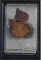 Collecta Prehistorie: Dorsale Plaat Stegosaurus 11,5 Cm Lichtbruin