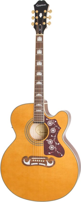 Ibanez AVT1-NT Natural akoestische tenor-gitaar (4-snarig) | Bax Music